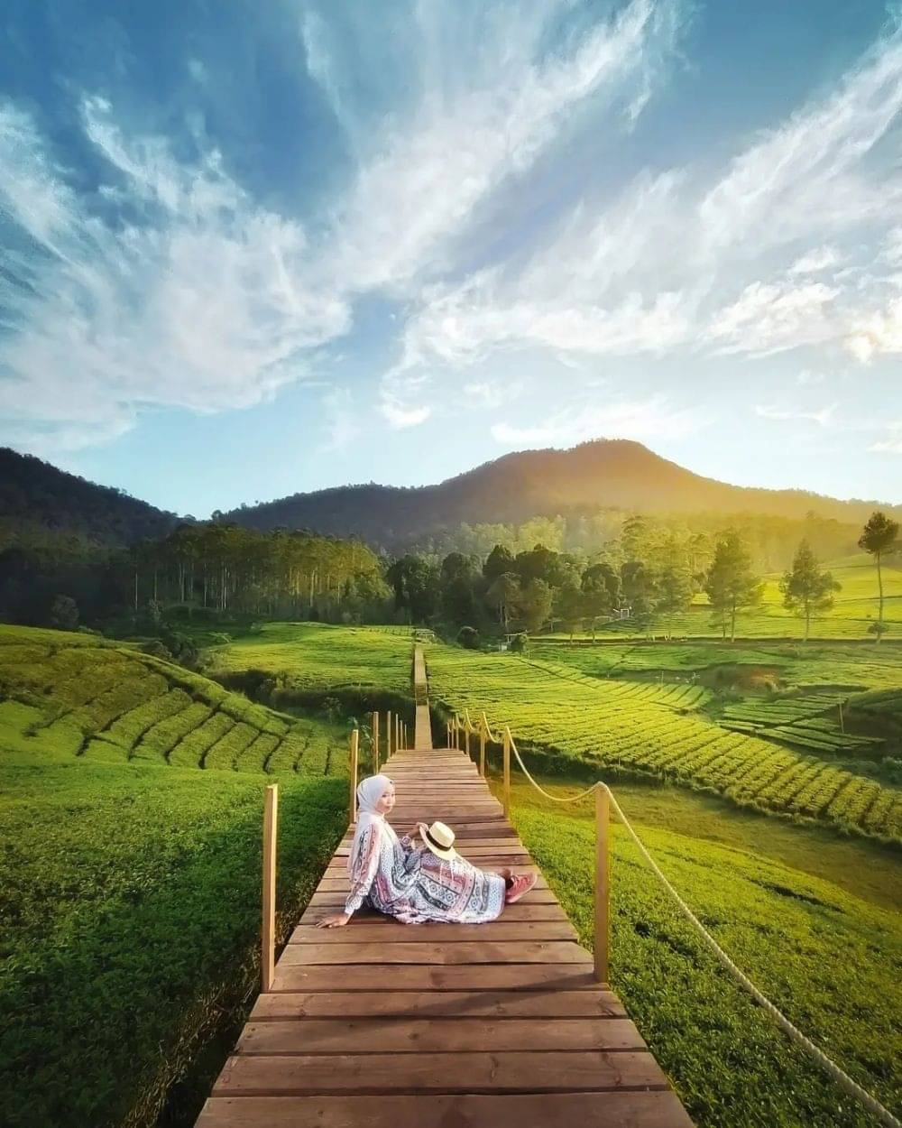 10 Kebun Teh Paling Cantik Di Indonesia, Suasananya Sejuk