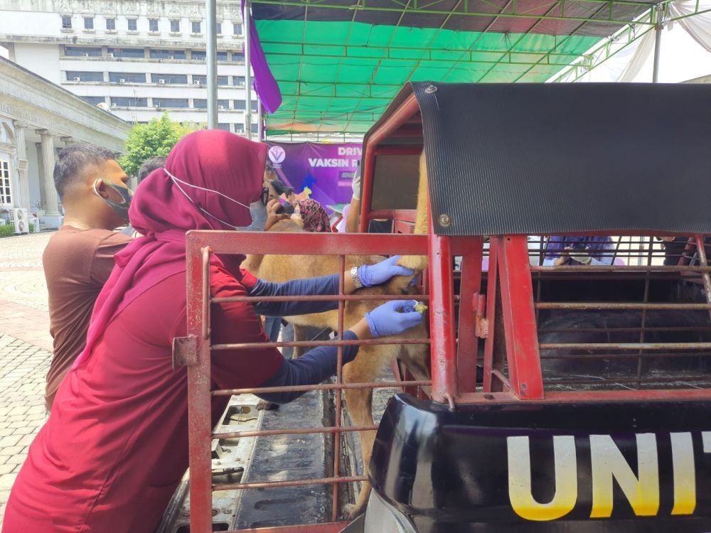 787 Hewan Penular Rabies di Padang Panjang Divaksin 