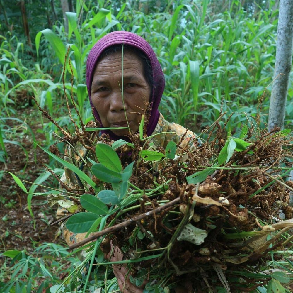 Unik, 5 Fakta Kampung Pitu di Nglanggeran Gunungkidul