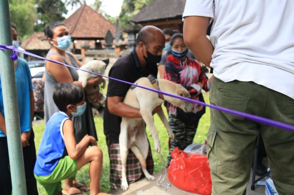 Bali Canangkan Segera Bebas Rabies, Apa Saja Strategi Pemerintah?