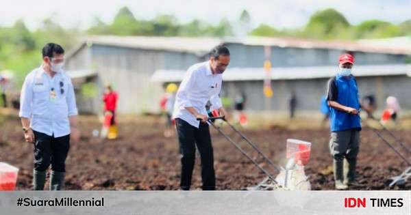 Presiden Ajak Petani Millennial Jadi Penggerak Pertanian