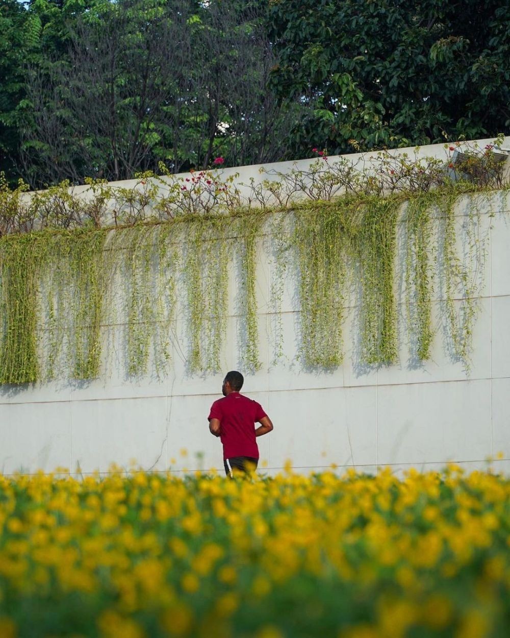 10 Taman Paling Cantik di Jakarta, Liburan Gak Perlu Jauh-jauh!