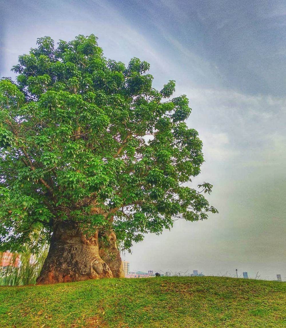 10 Taman Paling Cantik di Jakarta, Liburan Gak Perlu Jauh-jauh!