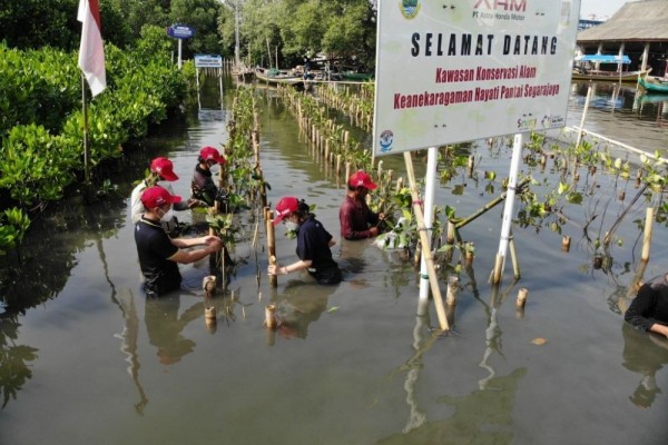 Lestarikan Keanekaragaman Hayati dengan Menanam Pohon
