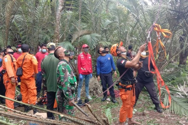 Warga Karangasem Meninggal di Atas Pohon Kelapa Setinggi 20 Meter