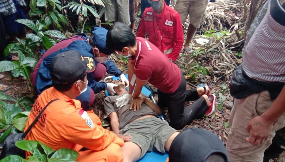 Warga Karangasem Meninggal di Atas Pohon Kelapa Setinggi 20 Meter