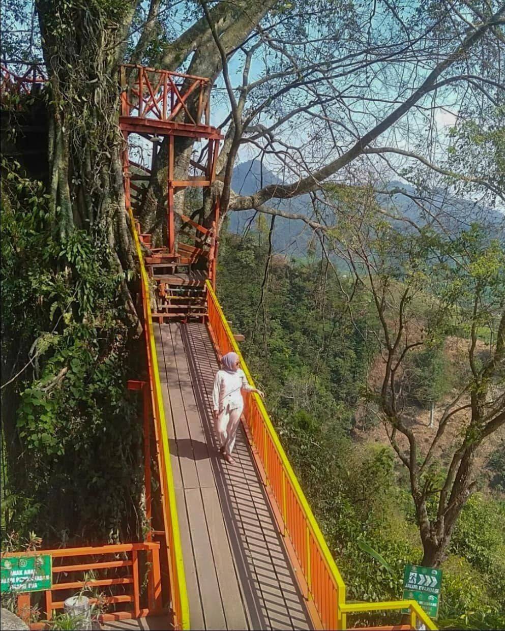 Curug Ciherang Bogor: Lokasi, Rute, Dan Harga Tiket