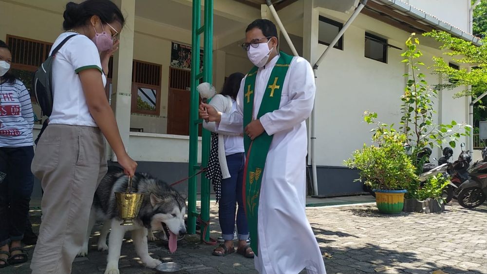 10 Potret Unik Anjing sampai Kura-kura Ikut Ibadah Pemberkatan di Semarang