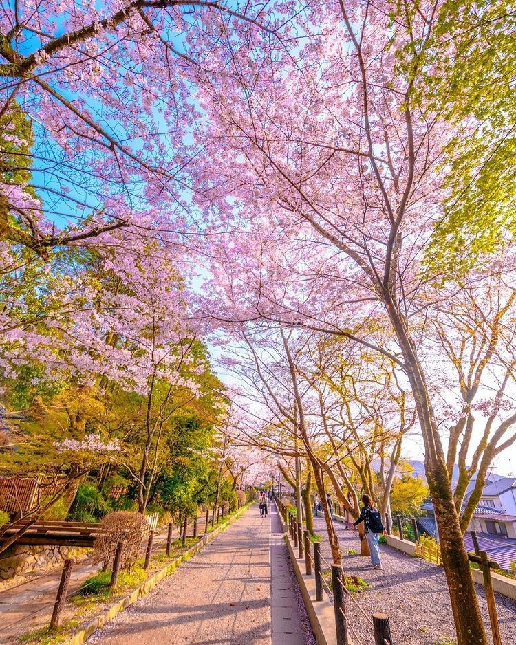 10 Tempat Wisata Paling Hits Di Kyoto Jepang