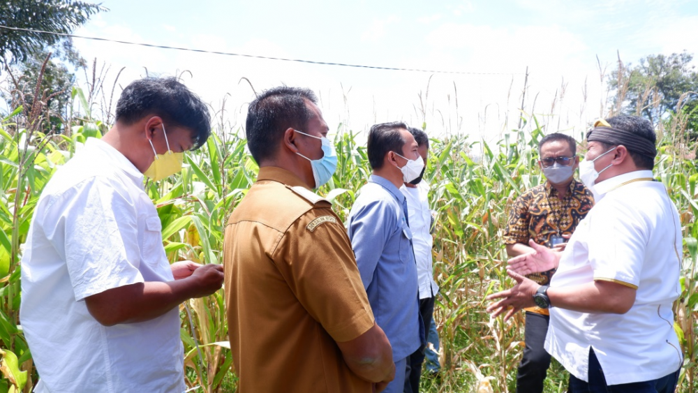 Inalum Bantu Alat Pertanian untuk Petani di Batubara
