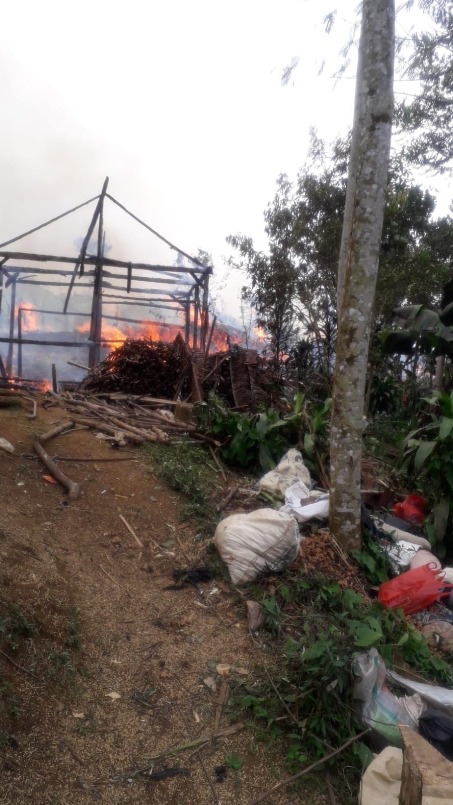 Puluhan Rumah di Permukiman Suku Baduy Hangus Terbakar 