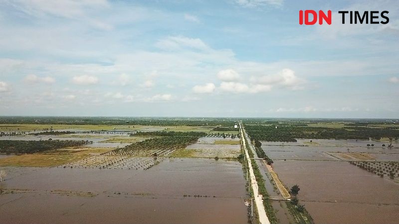 Stok Beras di IKN Penajam Cukup untuk 15 Bulan ke Depan