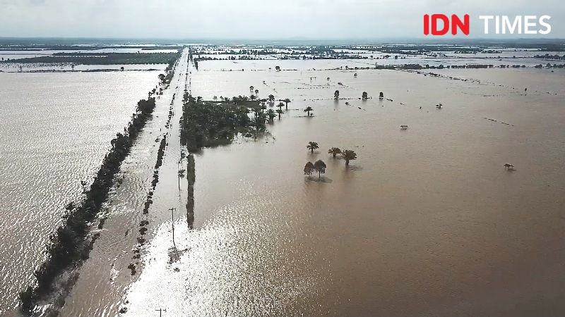 Banjir Rendam Puluhan Hektar Lahan Pertanian Penajam Paser Utara
