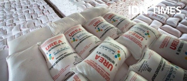 Dosen Pertanian Unsri Dukung Pupuk Urea dan NPK untuk Komoditas Utama