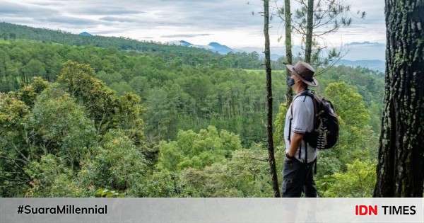 Rekomendasi Tempat Wisata Yang Cocok Untuk Hiking Di Bandung