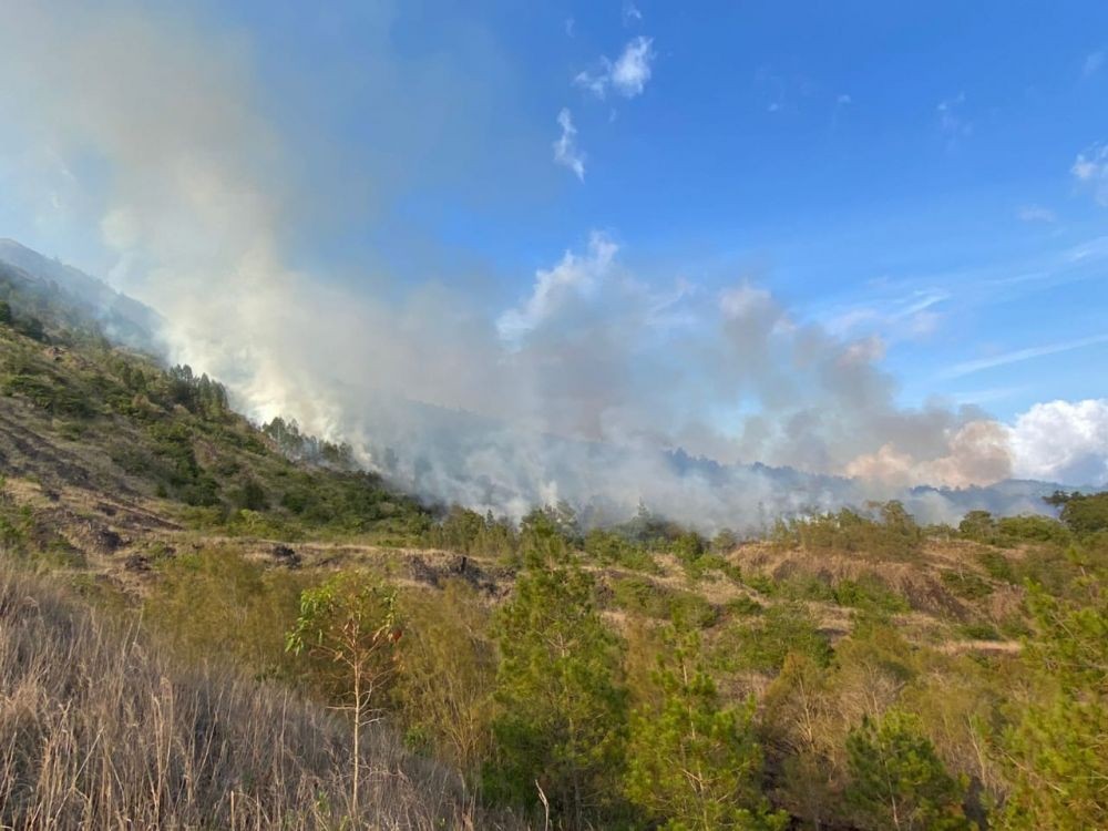 Hutan di Gunung Batur Bali Terbakar, 3 Hektare Hangus Dilalap Api