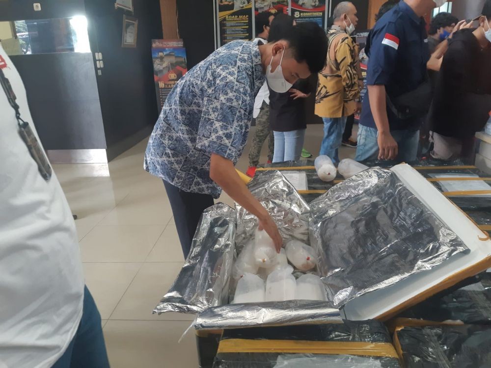 Kurir Pembawa 98.620 Benih Lobster Ditangkap di Palembang