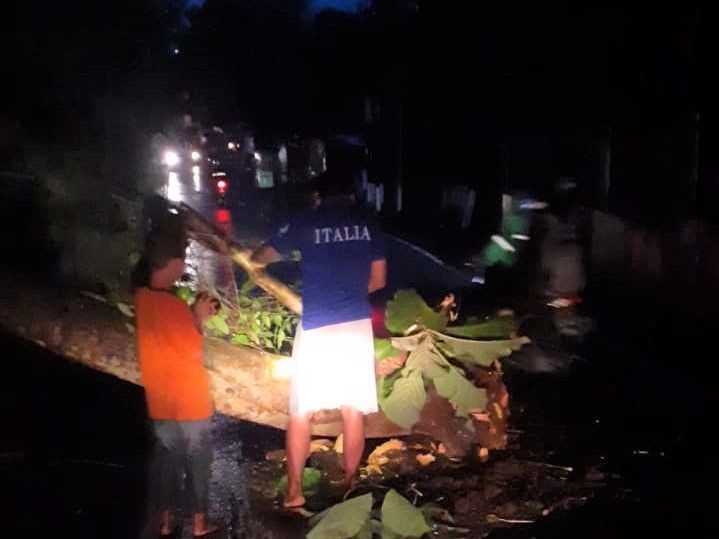 Semarang Panen Pohon Tumbang Usai Hujan Lebat dan Angin Kencang