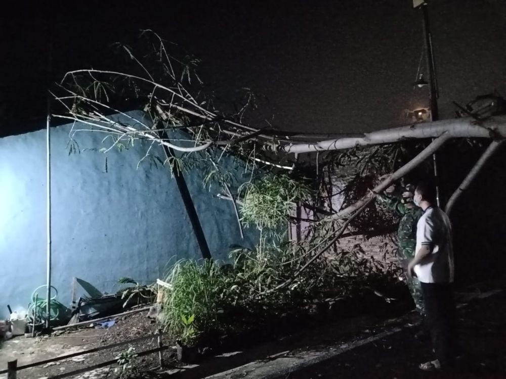 Cuaca Ekstrem, Terjadi Longsor dan Panen Pohon Tumbang di Semarang