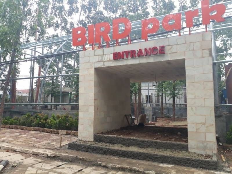 Kasihan! Kelinci dan Burung di Taman Kota Tangerang Kena Scabies 