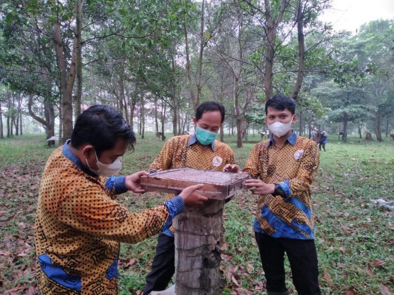 Panen Budidaya Madu, ITERA Jadi Percontohan Pertama di Lampung