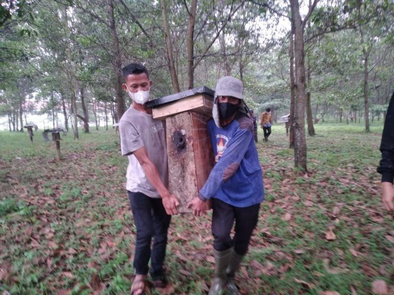 Panen Budidaya Madu, ITERA Jadi Percontohan Pertama di Lampung