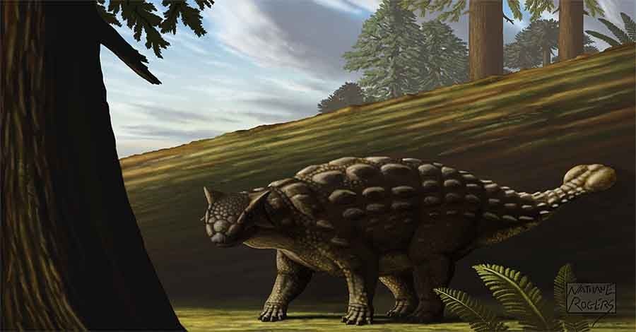 Mengenal Ankylosaurus, Ekornya Bisa Jadi Senjata