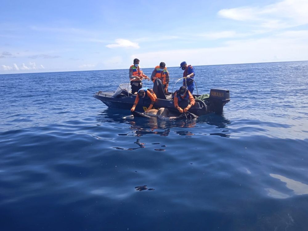 Jasad Pria Asal Samarinda Ditemukan Mengapung di Perairan Kotabaru