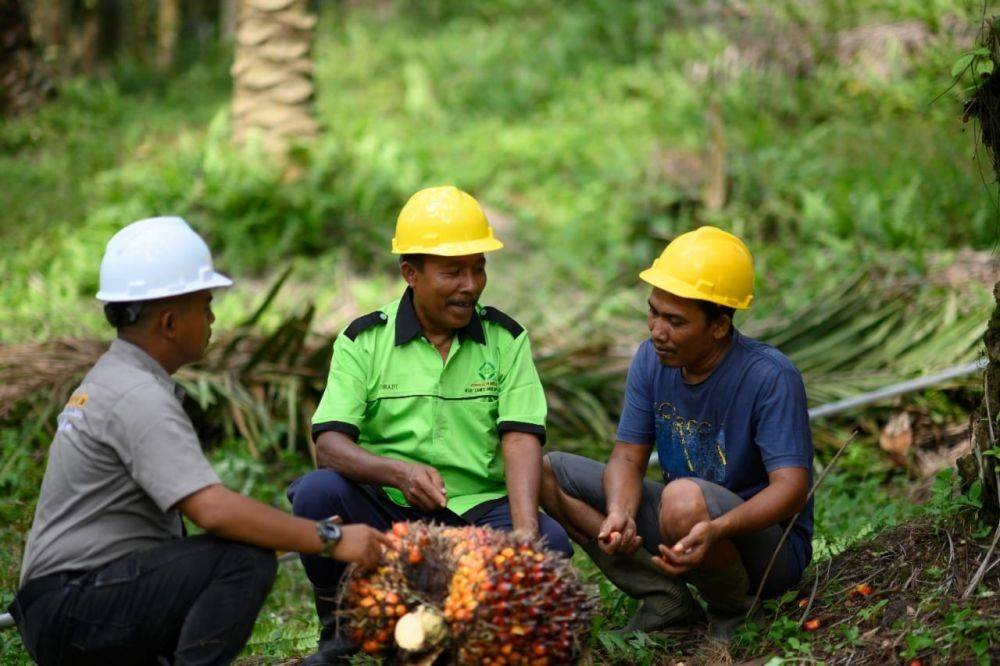 Kunci Sukses Tingkatkan Kesejahteraan Petani