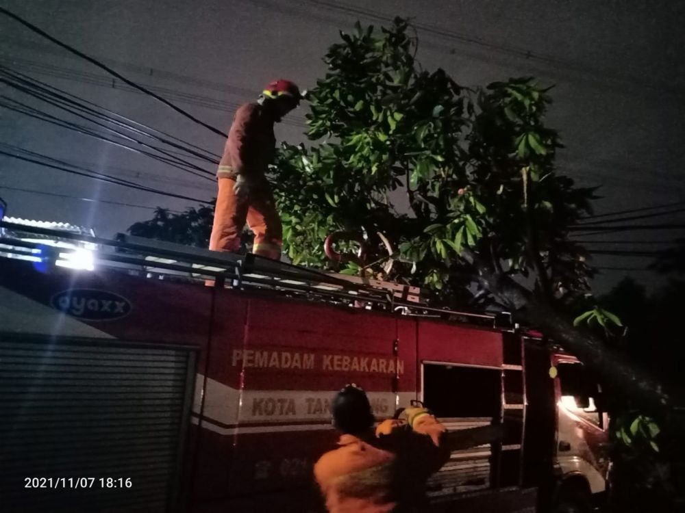 Hujan Deras Picu Pohon Tumbang di Parung Jaya Kota Tangerang 