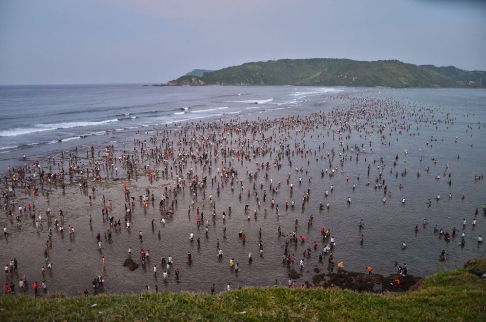 Puncak Perayaan Bau Nyale Dipusatkan di Pantai Tanjung Aan
