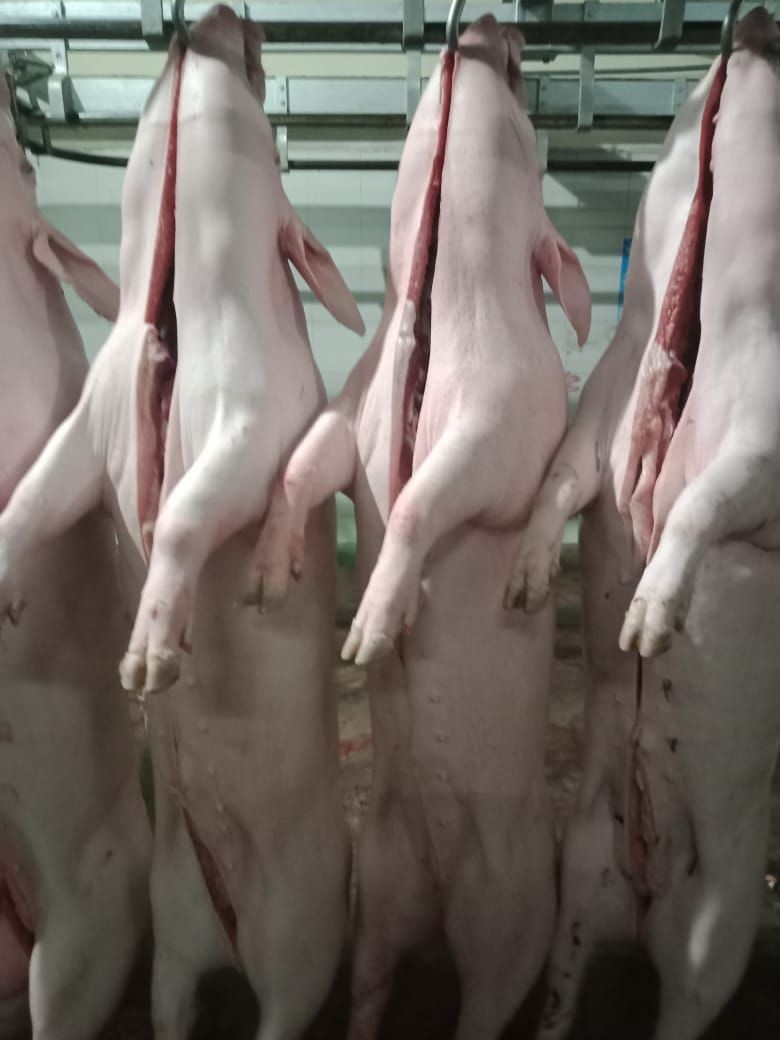 Jelang Galungan, Dinas Pertanian Denpasar Pastikan Daging Babi Sehat