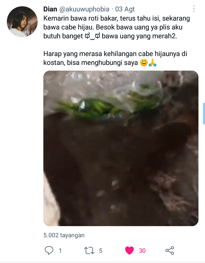 10 Pengalaman Kocak Netizen Dibawakan Hadiah oleh Kucingnya, Gemas!