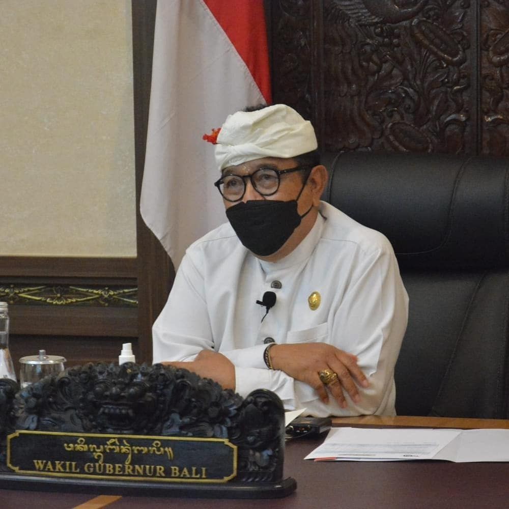 Profil Wakil Gubernur Bali Tjok Oka Artha Ardhana Sukawati
