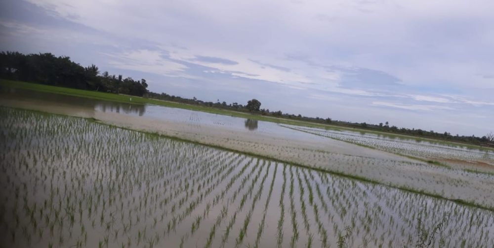 Bulog Paser Siapkan Pasokan Stok Beras 700 Ton Jelang Puasa Ramadan