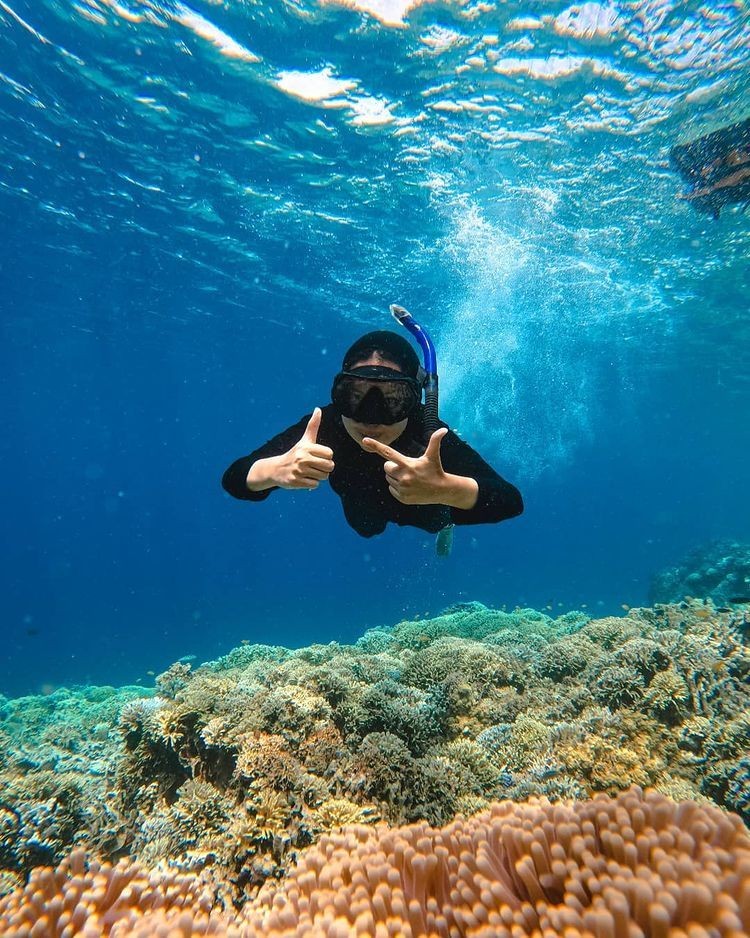 10 Spot Snorkeling Terbaik di Bali, Surga yang Tersembunyi
