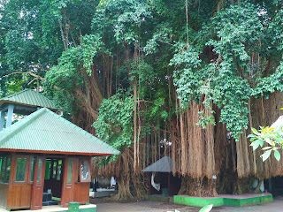 Berziarah ke Makam Loang Baloq, Ada Pohon Pengikat Janji