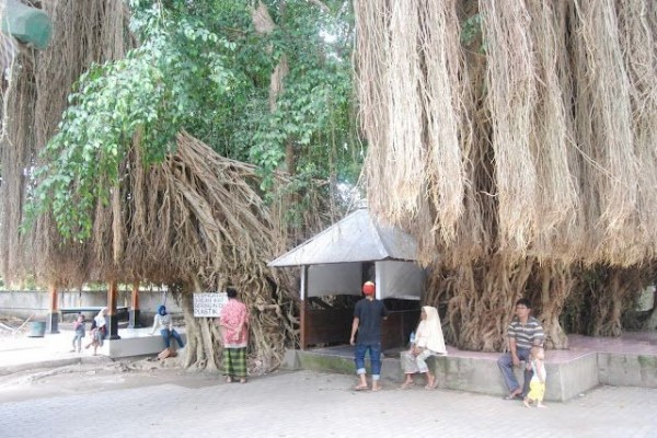 Berziarah ke Makam Loang Baloq, Ada Pohon Beringin Pengikat Nazar