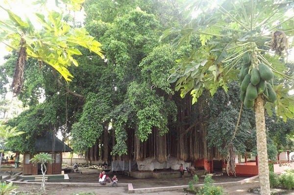 Berziarah ke Makam Loang Baloq, Ada Pohon Beringin Pengikat Nazar