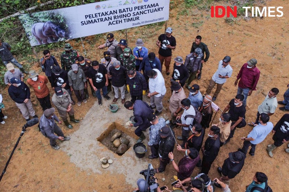 Bergandeng Tangan Cegah Badak Sumatra Hilang di Bumi Andalas