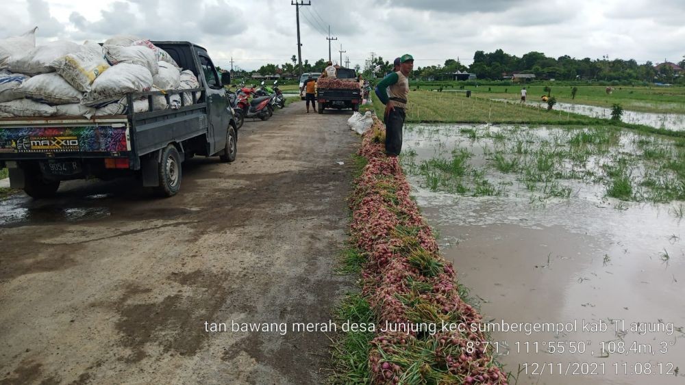 Ratusan Hektar Sawah di Tulungagung Terendam Banjir