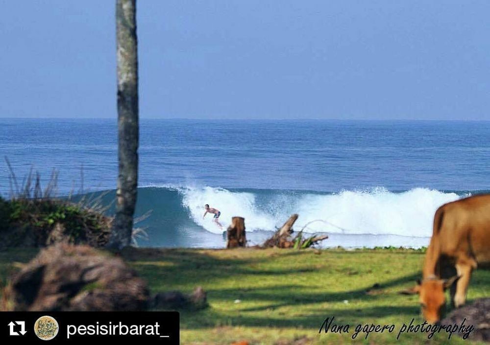 Pantai Tanjung Setia Pesisir Barat, Debur Ombak Eksotis dan Pasir Putih