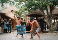 8 Tarian Khas Tradisional dari Nusa Tenggara Barat