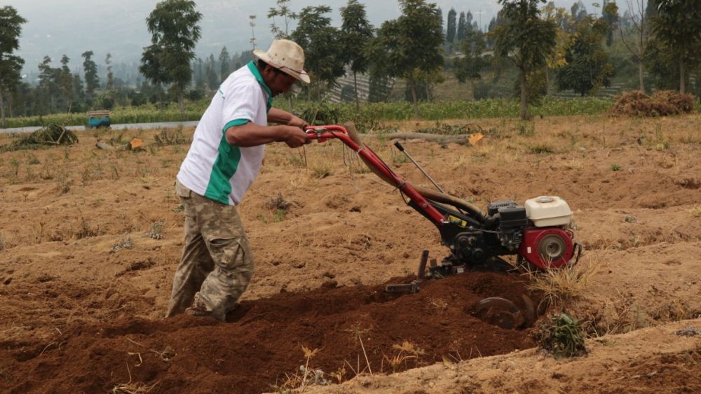 Pemkot Bandung Berencana Alihfungsikan 46 Hektare eks TPA Leuwigajah 