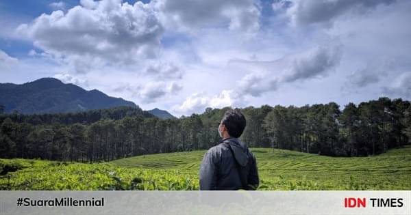 Tempat Wisata Kebun Teh Yang Cantik Di Indonesia