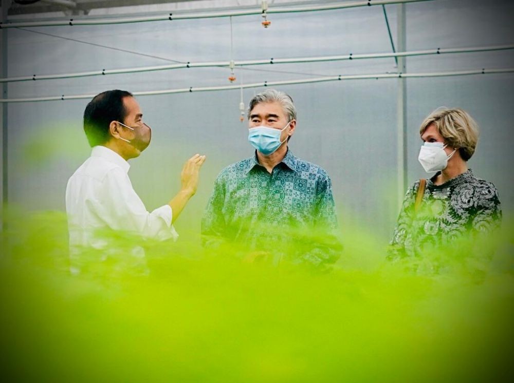 Reviewing Rumpin's Modern Nursery, Jokowi Ensures Reforestation Begins