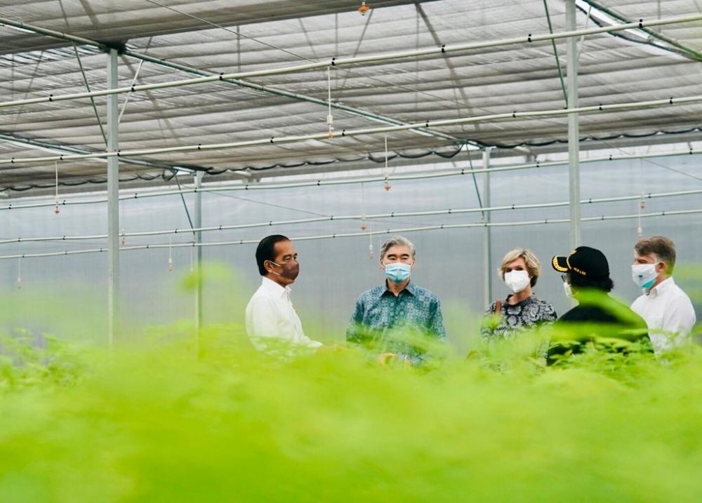 Reviewing Rumpin's Modern Nursery, Jokowi Ensures Reforestation Begins