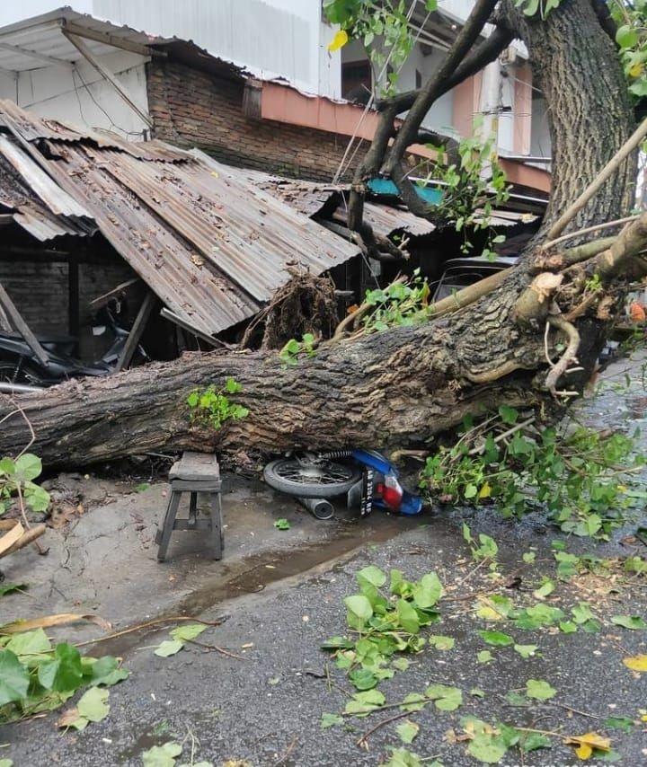 Hujan Disertai Angin Kencang di Yogyakarta Timpa Mobil hingga Warung 
