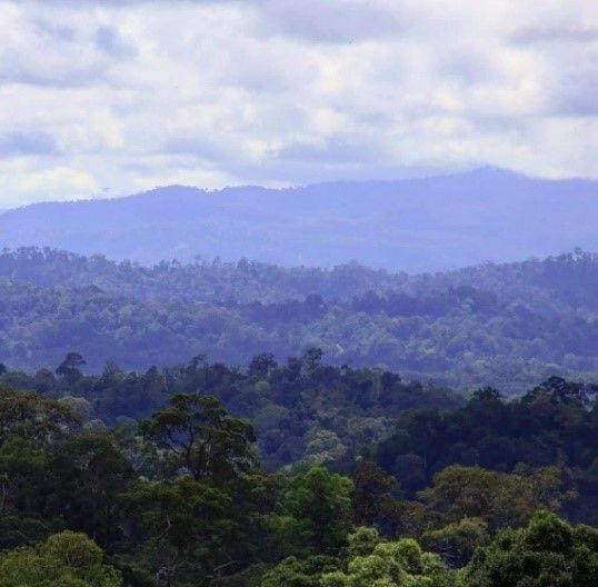 Gunung-Gunung dengan Panorama Indah dan Menakjubkan di Kaltim