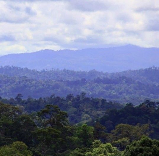 Gunung-Gunung dengan Panorama Indah dan Menakjubkan di Kaltim